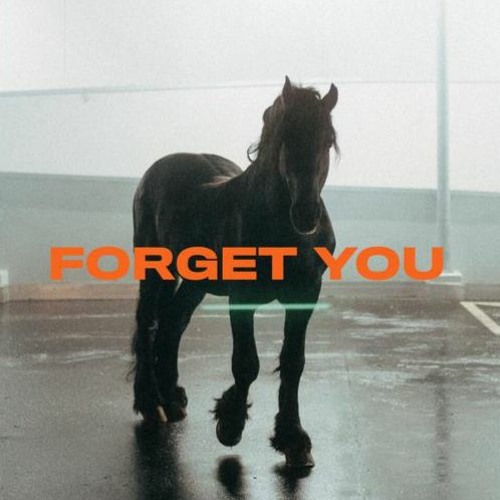 FAST BOY & Topic - Forget You (NAK!S Remix)