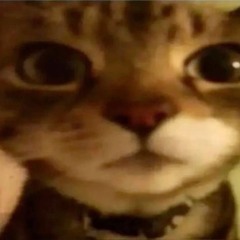 the real you - recycled demo