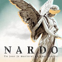 Pierre de Maere- Un jour je marierai un ange (cover) | Nardo