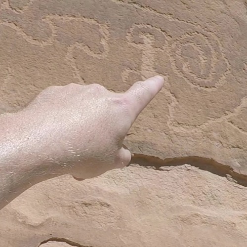 Hoop Snake Canyon: Catching Cryptids Soundtrack