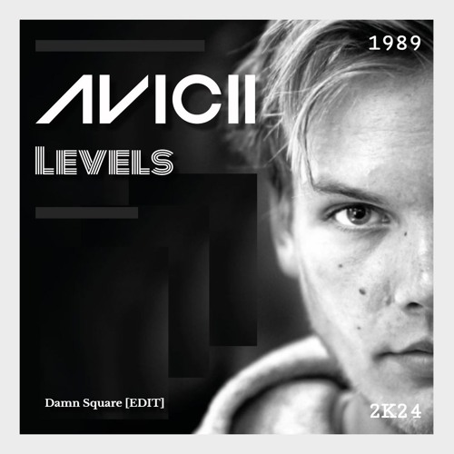 Avicii - Levels (Damn Square EDIT)