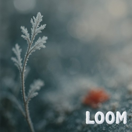 Loom