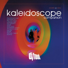 Kaleidoscope Companion Mixed