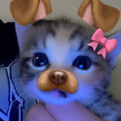 Crush Vibe- Romantica & Lestmor