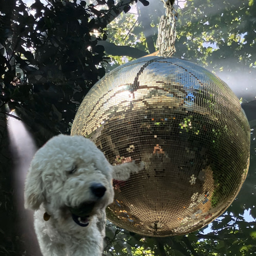 DeBootjes • LonnyJoco • 28-05-2025