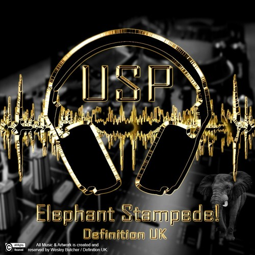 Elephant Stampede! (Drum & Bass Roller).
