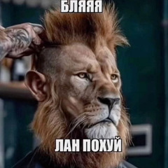 Щит упал(Сук)