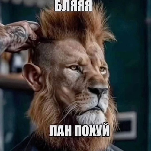 Щит упал(Сук)