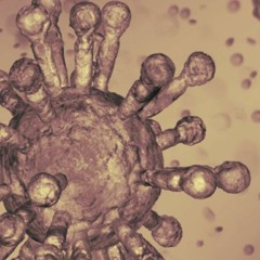 Is the U.S. Prepared for a Coronavirus Pandemic? (Guest: Dr. Jane Orient)