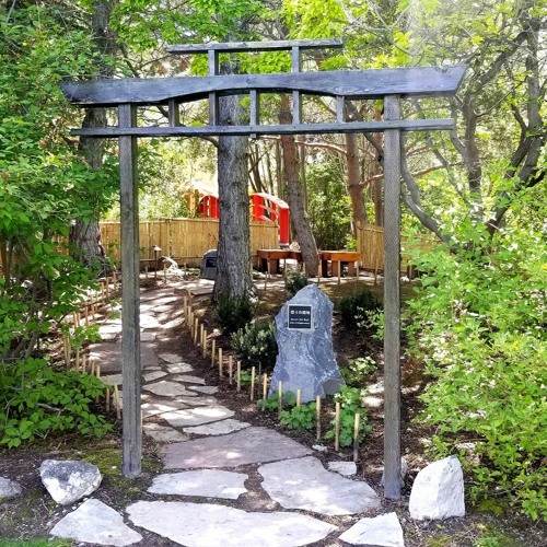 Stream Byu Idaho S Botanical Beauty By Byu Idaho Radio Listen Online For Free On Soundcloud Stream Byu Idaho S Botanical Beauty By Byu Idaho Radio Listen Online For Free On Soundcloud