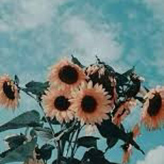 Not Into You - Brooksie x Charlie {Tiktok Remix}