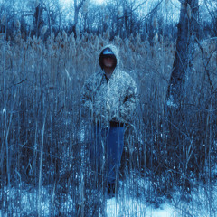 im tryna grow (sira vendeur)