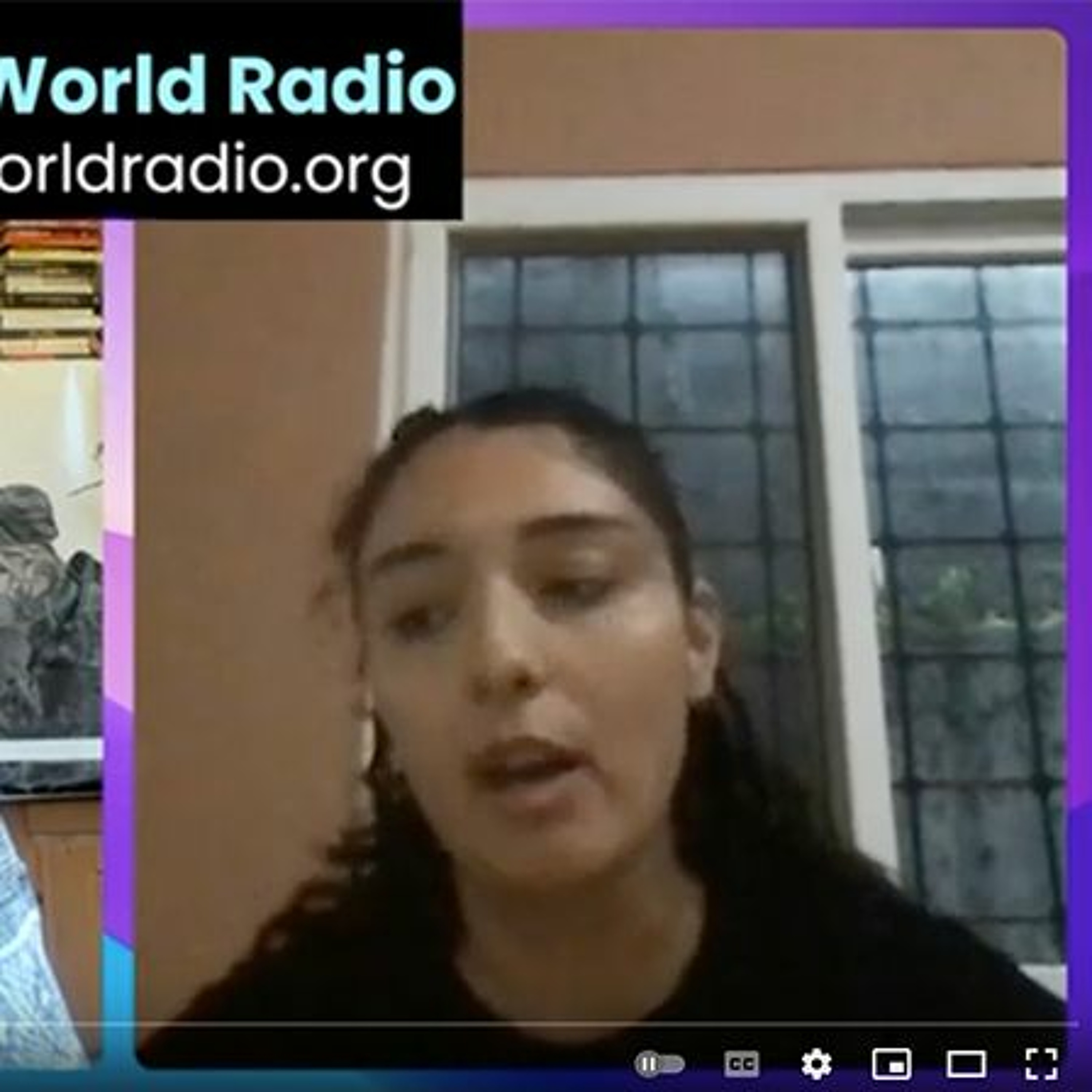 Talk World Radio: Allison Lira on U.S. Efforts Against Democracy in Honduras episode artwork