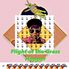 Flight of the Grasshopper