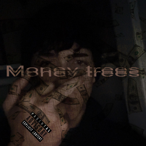 money trees