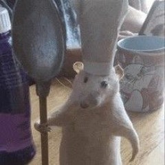 Gotta get my rat homie with the homemade soup