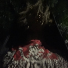 #BLUNTLACEDIMMATRIP #yung4evrr - JAD3N {xpwave}