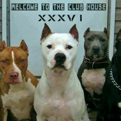 Dj:SHADOOF:  deeb in my soul #2