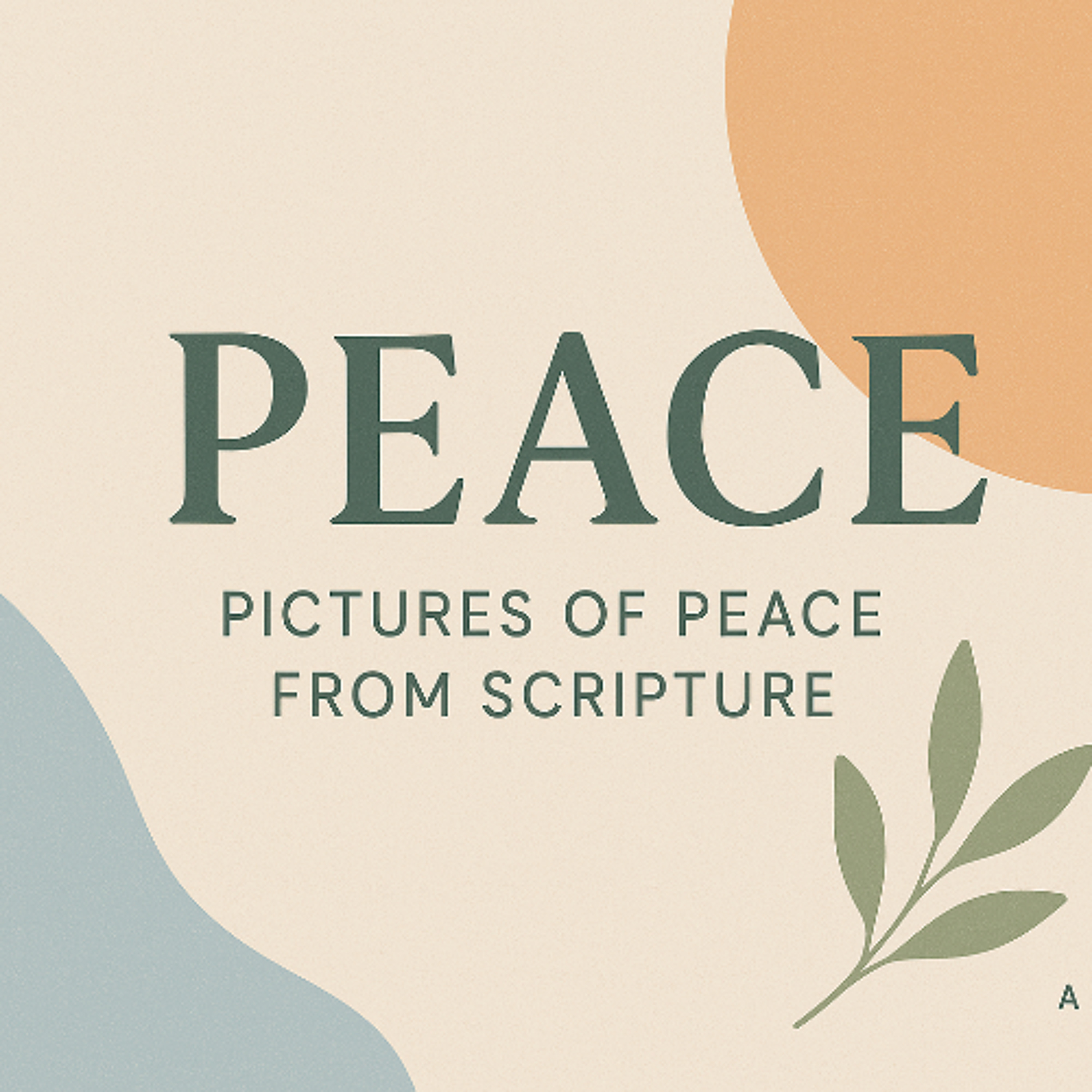 PEACE - MIDWAY WEEK 4 episode artwork