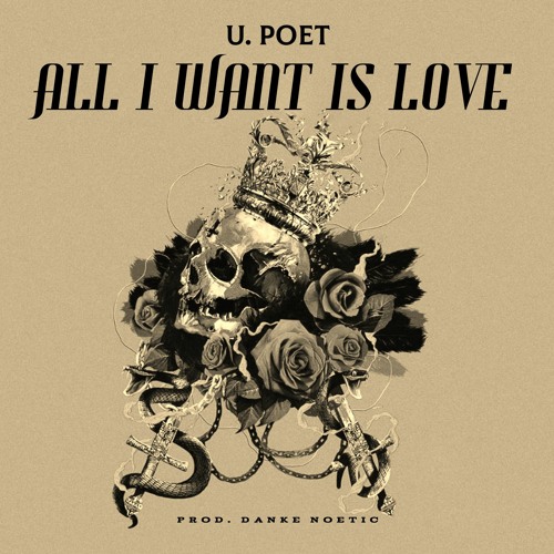 All i Want Is Love {Prod By Danke Noetic}