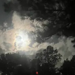 been up (prod. aloa)