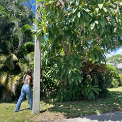 DAMN! (MARKXSEB) ROUGH v2.m4a