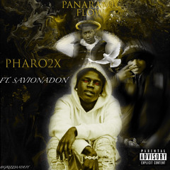 Panaramic Flow (Feat. savionadon) #LLPanaramic
