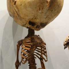 why you wanna try me