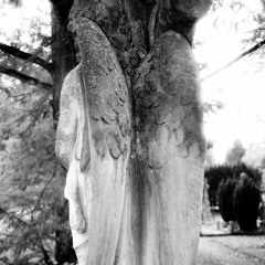 wounded bird , glowing crescennt} <3