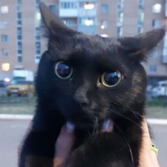 PR1SVX ~ CRYSTALS REMIX ABNORMAL X CHILLZ PERFECTLY SLOWED & REVERBED