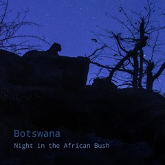 Botswana: Night in the African Bush - Album Sample