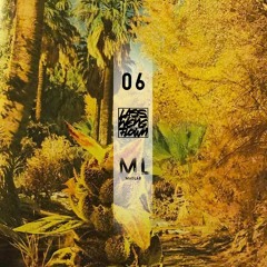 LWF Represent 06 - MadLab (Fav songs)