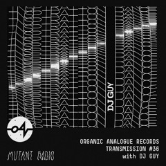 Organic Analogue Transmission 36 With DJ Guy [04.09.2023]