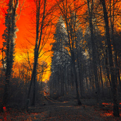 BLACK PARADISE - Dark Type Beat | 88 BPM