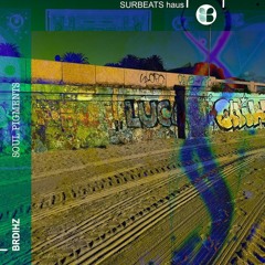 Brdihz - Soul Pigments (original mix)