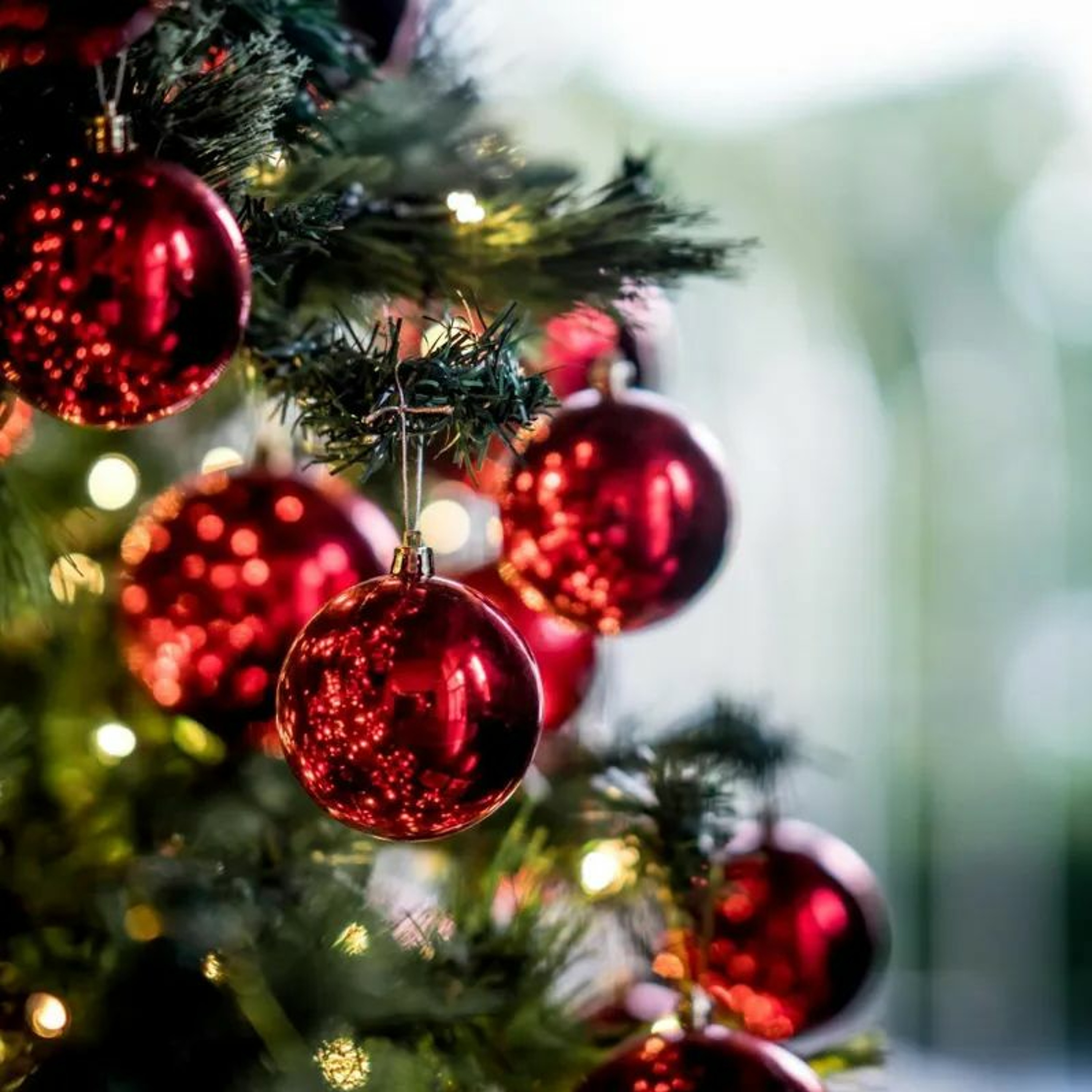 Celebrate Jesus This Christmas (It's Not Pagan) thumbnail