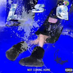 not coming home (prod. hurtleberry)