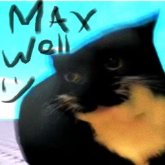 maxwell the cat