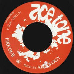 ARKOLOGY - Fire Dub / Education Dub