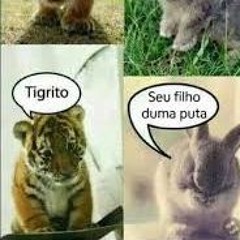 dou o meu c♡ ao quadrado