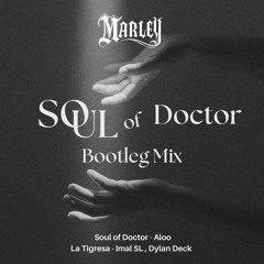 Soul of Doctor Bootleg Mix
