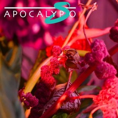 Exclusive Premiere: Spain V Spain "Apocalypso" (Forthcoming on DISLO)