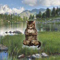 sentis la gravedad(nvrlovedu)