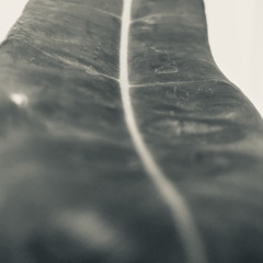 disquiet0683 - non-past continuous affirmative