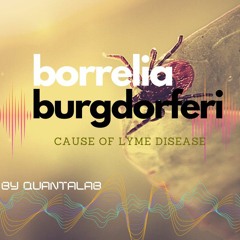 Borrelia_Burgdorferi_LymeSet_939-942-947-m180-reversesawtooth-384kHz.flac