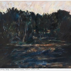 Het Bos Heeft Ons Niet Nodig