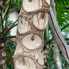 If Music Presents You Need This w/ Jean-Claude 280925