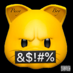 Puss Boy(diss)