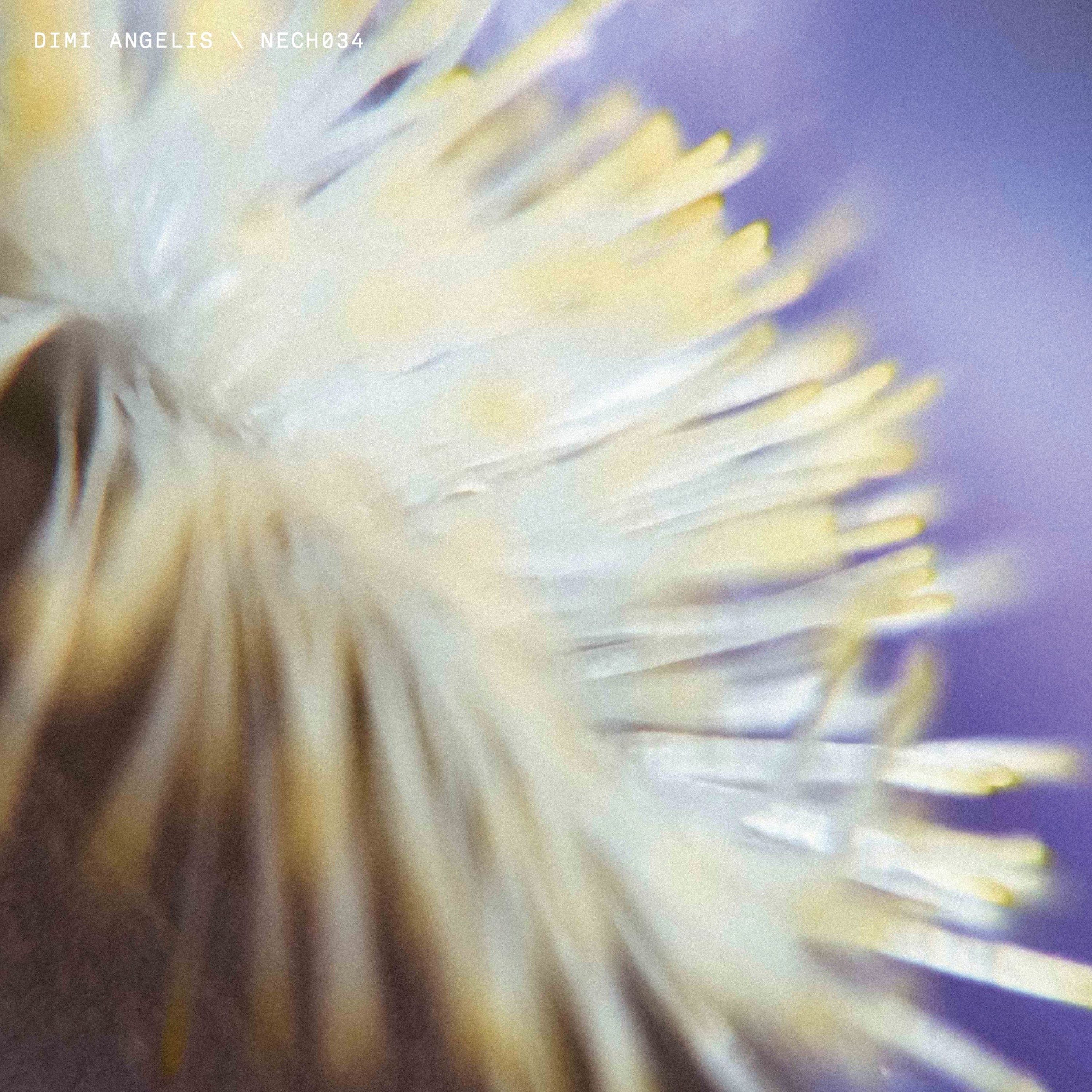 Premiere: Dimi Angelis — Hydra [NECH034] episode artwork