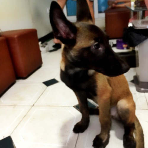 Em Bỏ Mẹ Thuốc Đi -